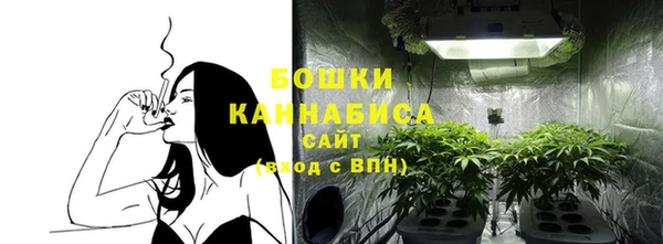 сатива Богданович