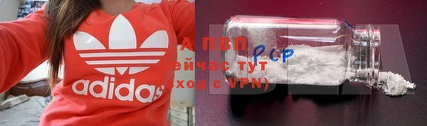 сатива Богданович