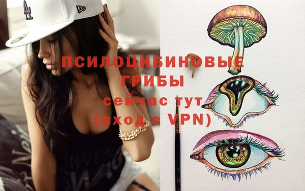 Альфа ПВП Бугульма