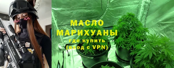 молекула духа Богородицк