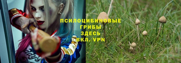 молекула духа Богородицк