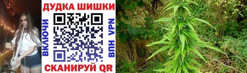 kraken как войти даркнет сайт Рыбинск Бошки марихуана тримм